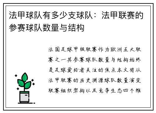 法甲球队有多少支球队：法甲联赛的参赛球队数量与结构