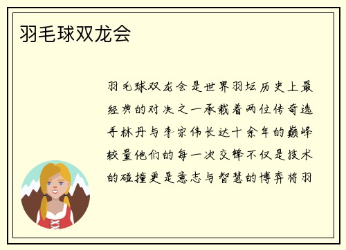 羽毛球双龙会